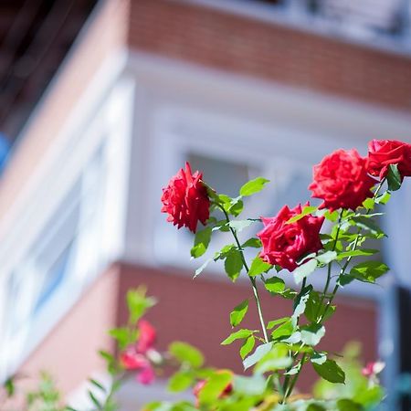 B&B Il Pettirosso Malonno ภายนอก รูปภาพ