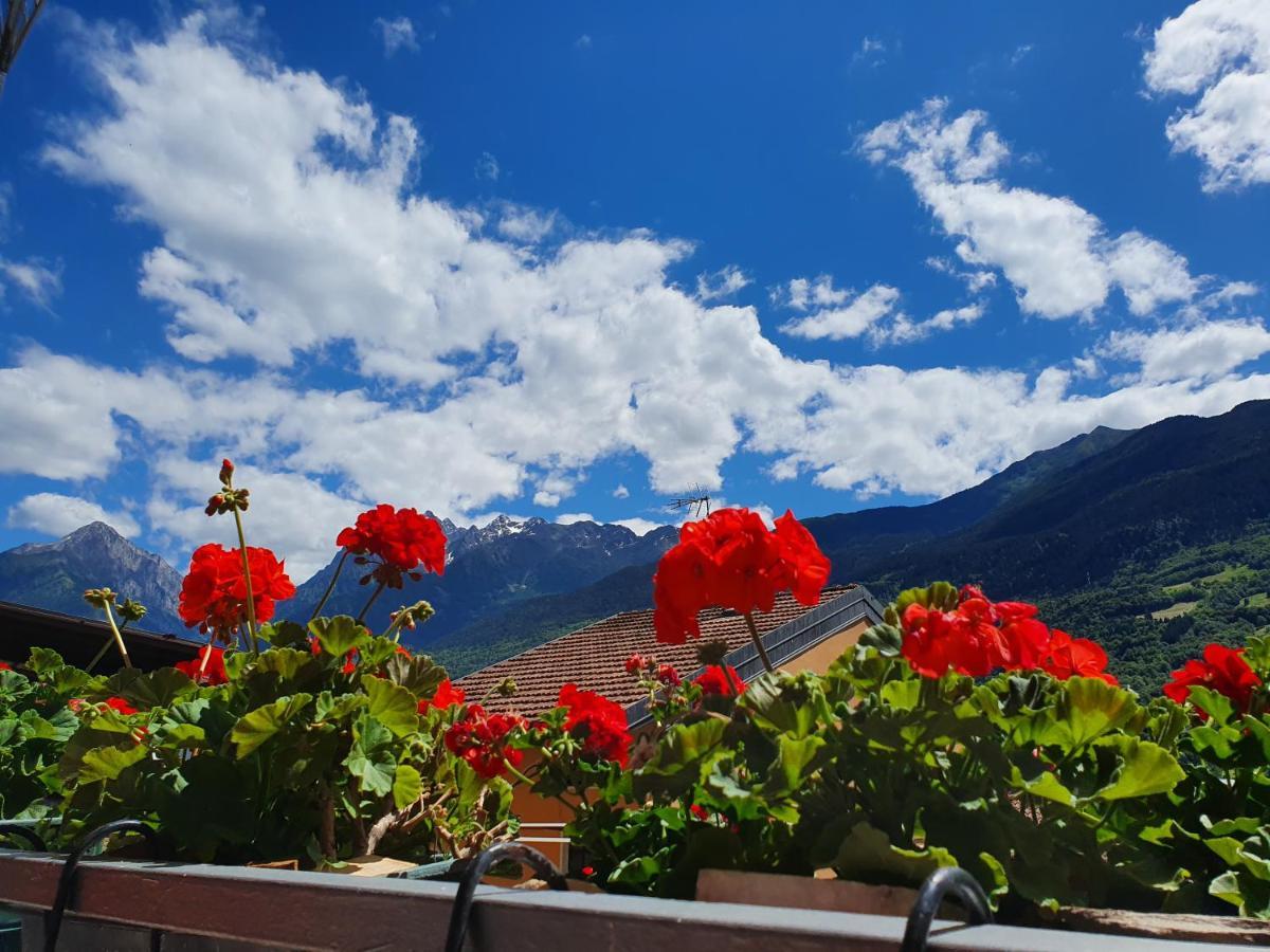 B&B Il Pettirosso Malonno ภายนอก รูปภาพ