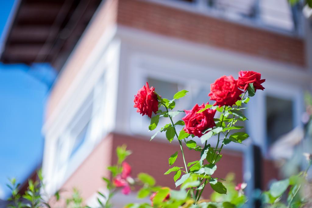 B&B Il Pettirosso Malonno ภายนอก รูปภาพ