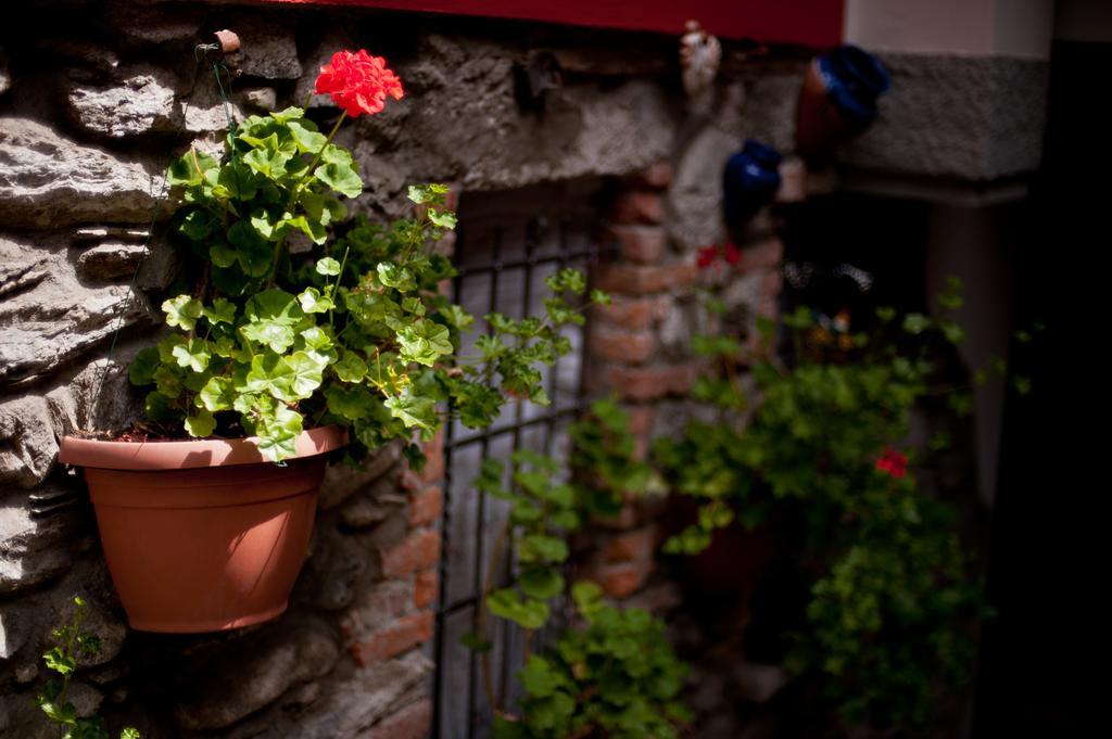 B&B Il Pettirosso Malonno ภายนอก รูปภาพ